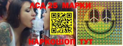 спиды Обь