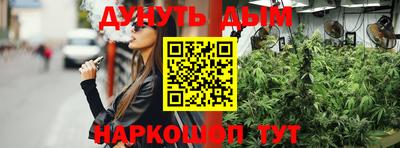спиды Обь