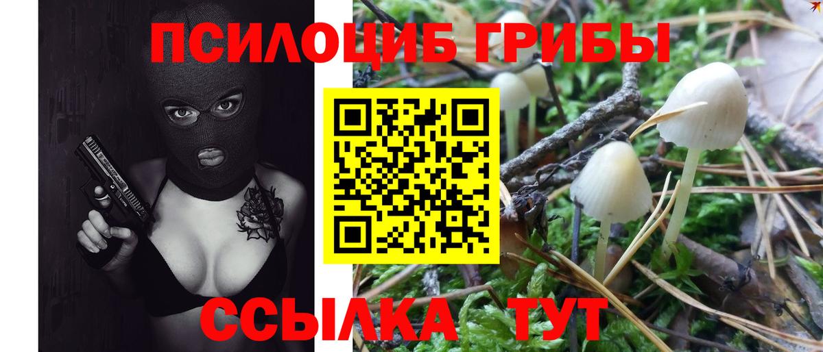 где купить наркоту  Вход с VPN  Галлюциногенные грибы MAGIC MUSHROOMS  Соликамск  Галлюциногенные грибы ЛСД 